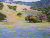 Landscapes - California Lupine - Pastel